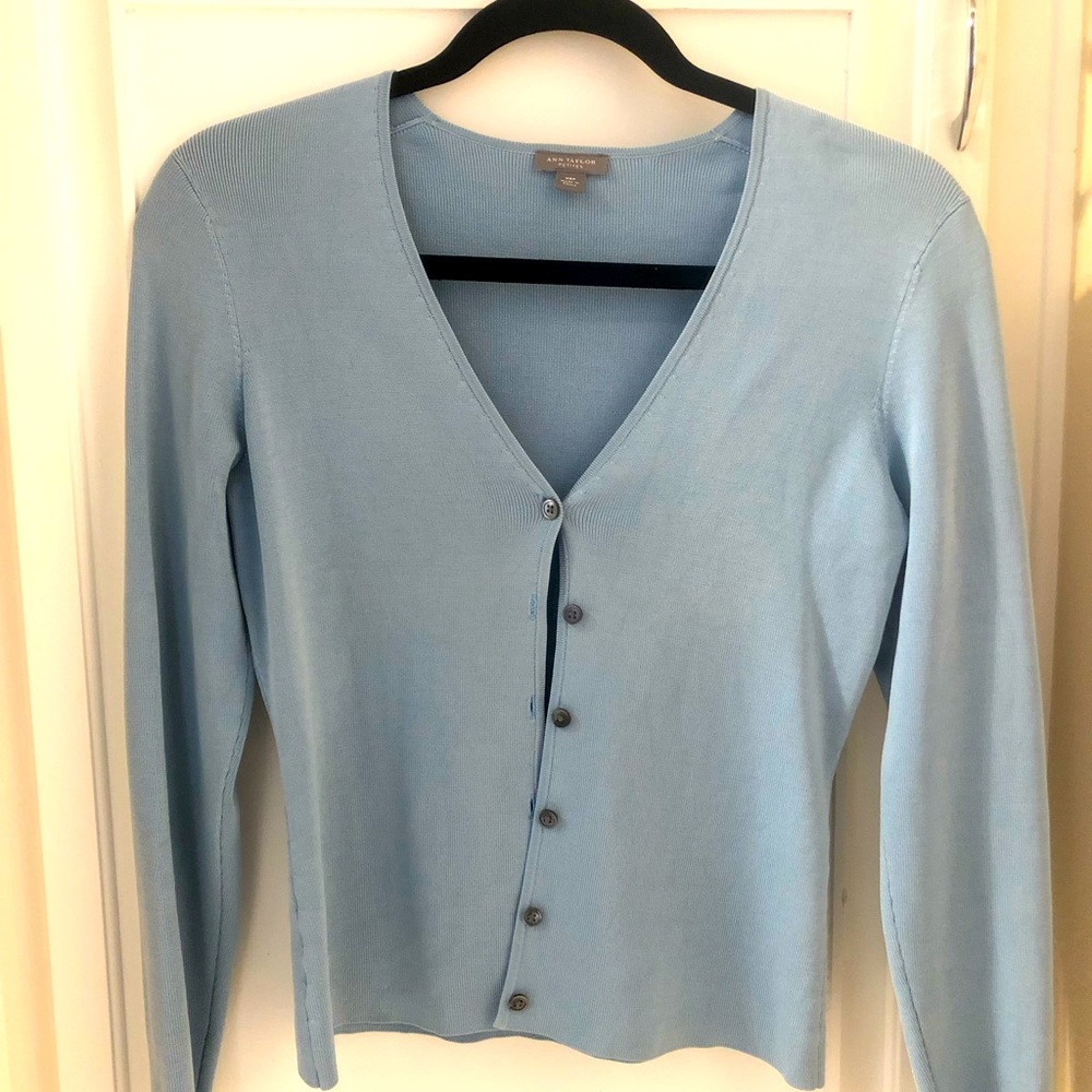 Ann Tayler light blue sweater